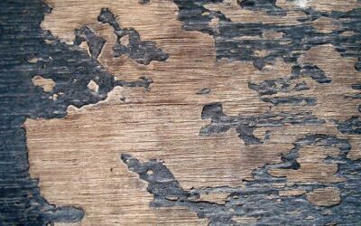 Quick Maintenance Tips for your Hardwood Floor