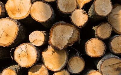 How To Choose The Right Hardwood Floor