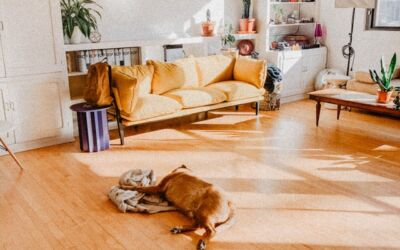 Best Engineered Hardwood Floor For Scratch-Resistance
