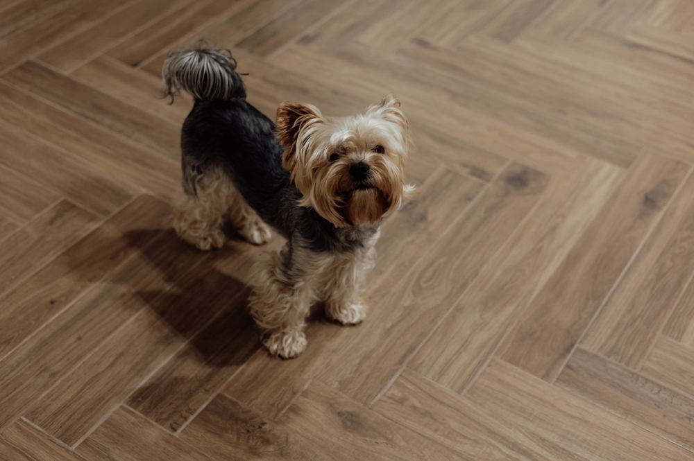 Hardwood Flooring Milton